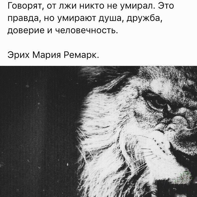 BEST | , ,  - 19  2018  03:53