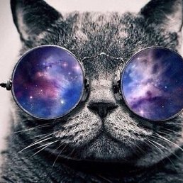 ������, �������, 35 ���