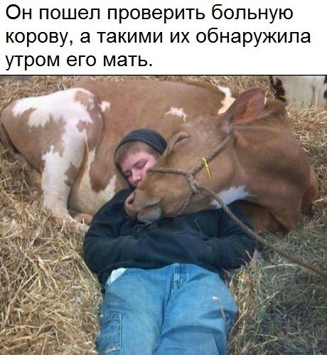   -   - 25  2017  03:40