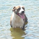 ���� ������, ������ - ��������� 15 ����� 2018 � ������ ���� ����������