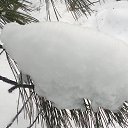 ���� �������, ������� - ��������� 28 ������ 2017 � ������ ��������