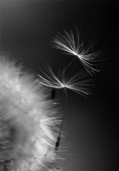 Smirenost - 6  2018  11:28 - 4
