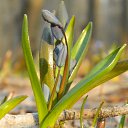 ���� ������, ������-��-����, 46 ��� - ��������� 13 ������ 2018 � ������ ������ ��������