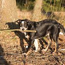  , , 60  -  27  2018     Ecce Homo ()