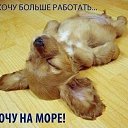 ���� ���, �����, 50 ��� - ��������� 15 ��� 2018 � ������ �������