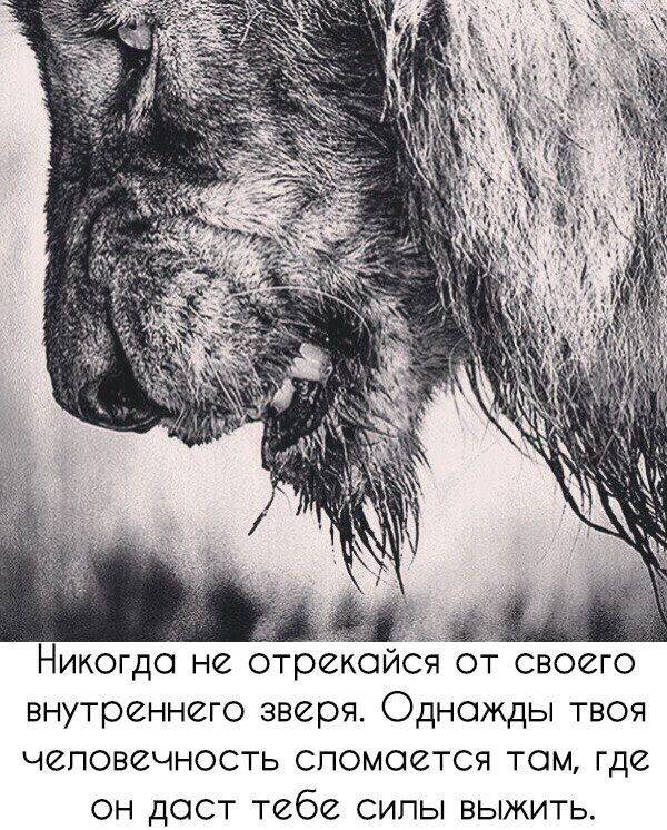   - 2  2018  13:59
