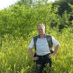 ���� ������, ���������, 64 ���� - ��������� 29 ���� 2018