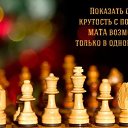 ���� ����, ��������, 46 ��� - ��������� 7 ������ 2018 � ������ ������ ��������