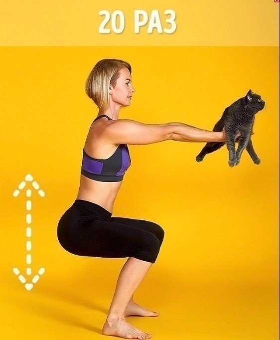    !)).           ...