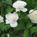 ���� Lusa, ��� - ��������� 24 ������ 2018 � ������ ���� ����������