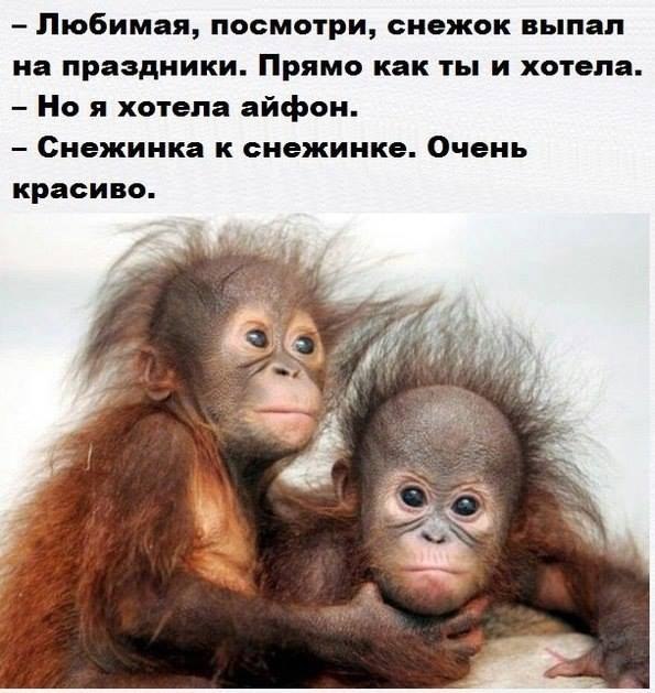 Всё для тебя, любимая !