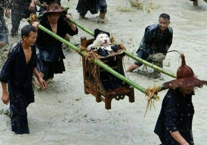             ,   .