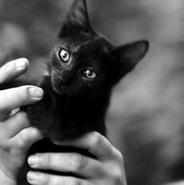 �� ��������� ������������� �����: �����������.�������� ����� ������... � ������ � ��� ���������!)