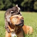 ���� A, ���� - ��������� 21 ������ 2018 � ������ ������ ��������