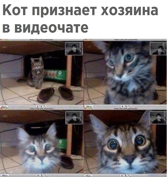       - 8  2018  02:44