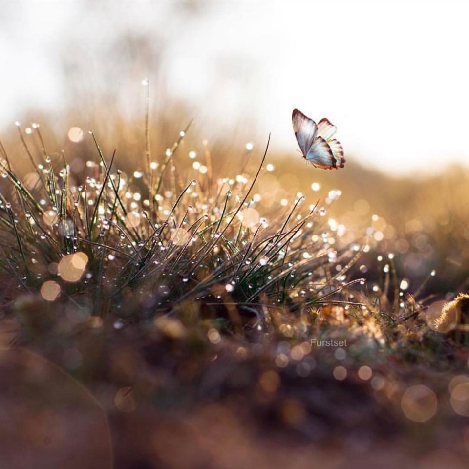     .     .     .  , ... - 2