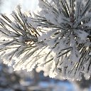 ���� �����, ����, 59 ��� - ��������� 4 ������ 2018 � ������ ���� ����������