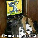 ���� ���������, ��������� - ��������� 19 ��� 2018 � ������ ���� ����������