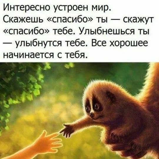 !,  .      