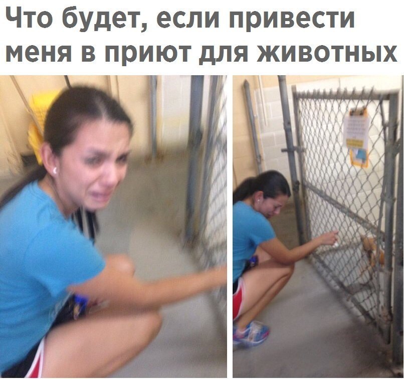  - 11  2018  02:37