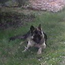 ���� �������, �������, 53 ���� - ��������� 6 ���� 2018 � ������ ���� ����������