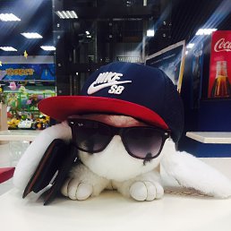 ���� ����, ����������, 38 ��� - ��������� 5 ������� 2018