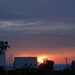 ���� ������, ������� - ��������� 29 ��� 2018