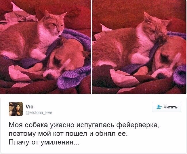  -  - 2  2018  03:53