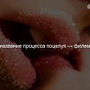 ���� �������, ���������, 43 ���� - ��������� 17 ������ 2018 � ������ ������ ��������