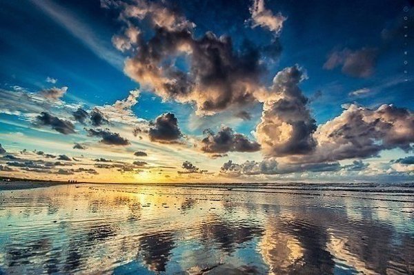 ��������� �������� �� ����������� Oer Wout. - 4