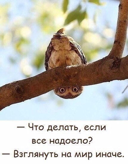 , , , ,  - 7  2018  03:47
