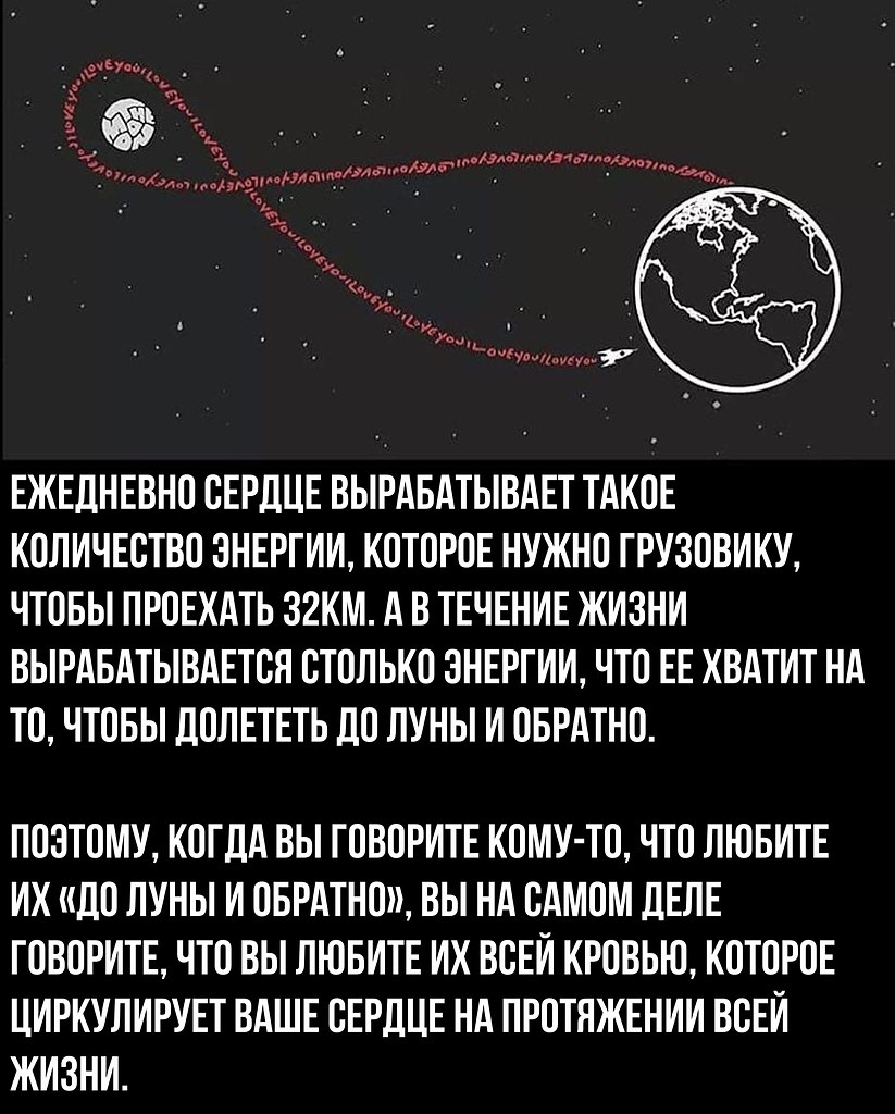    - 13  2018  02:53