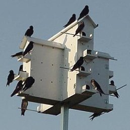 ������, ������, 42 ����