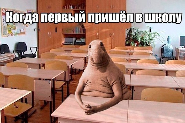 ☆Школа и Школьные приколы☆ - 18 февраля 2018 в 04:02
