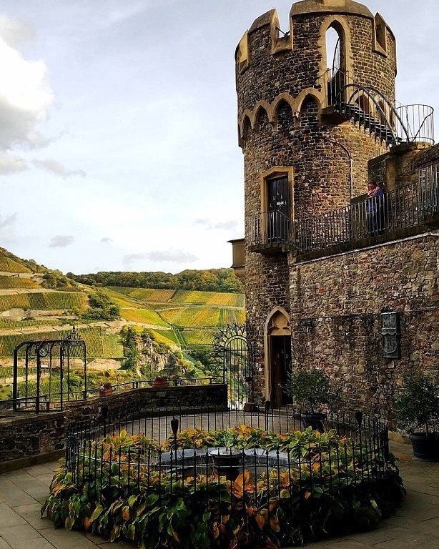 ����� ���������, ������� ��������������� � ��������. - 4