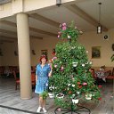 ���� �������, ���������, 63 ���� - ��������� 26 ������ 2018