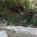 ���� �����, ����������� - ��������� 29 ����� 2018 � ������ ���� ����������