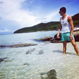 Fleks, �����-���������, 33 ����