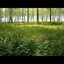  ,  -  14  2018   -2018