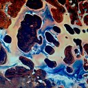  ,  -  18  2017   KOSMOS