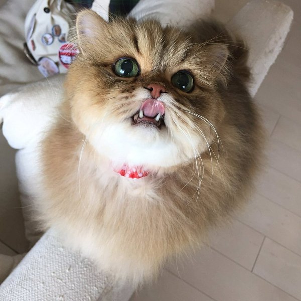 � ���� ���� ��� ����, � � ���� ������� ������ � ������� - 3