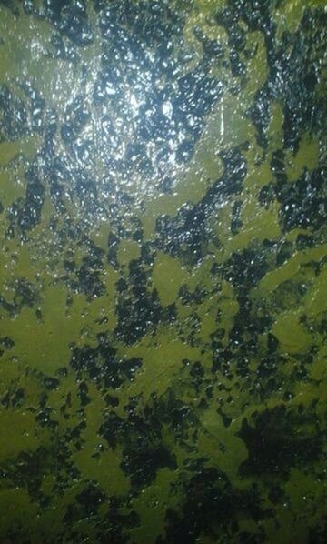 A.a.l - 24 ������ 2017 � 05:36