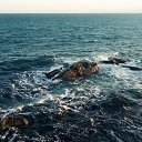 ���� �����, ���������������, 42 ���� - ��������� 9 ������� 2018 � ������ ������ ��������