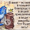  ,  , 71  -  22  2017    -     .