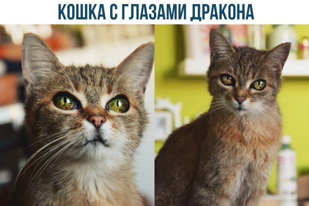   :    - 2  2018  03:01