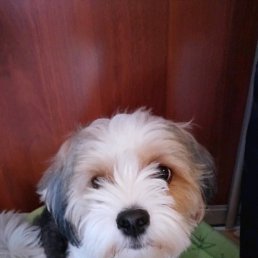 ���� �����, ������������, 56 ��� - ��������� 7 ������� 2018