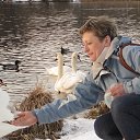 ���� ***�����***, ����� - ��������� 8 ������� 2017