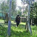  * , , 31  -  9  2018    