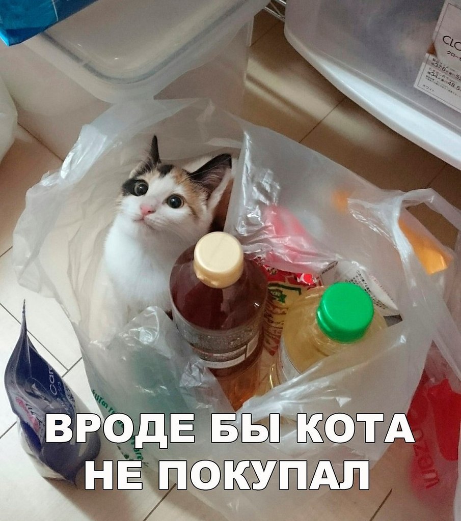    :D - 20  2018  02:44