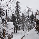 ���� ������, �������, 33 ���� - ��������� 8 ������ 2018 � ������ ������ ��������